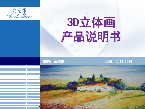 3D立体画产品说明书