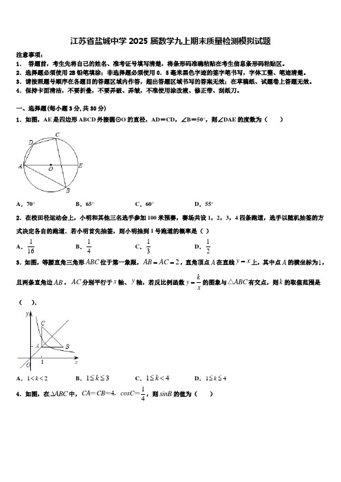 江苏省盐城中学2025届数学九上期末质量检测模拟试题含解析