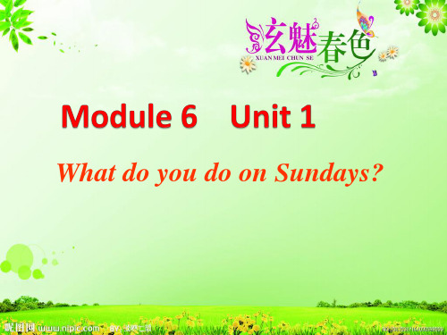 三年级下册英语课件Module6Unit1 what do you do on sundays 外研版PPT