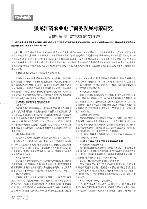 黑龙江省农业电子商务发展对策研究