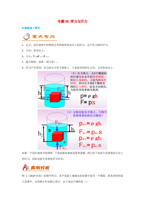 中考物理考前练兵备考攻略专题09浮力与升力