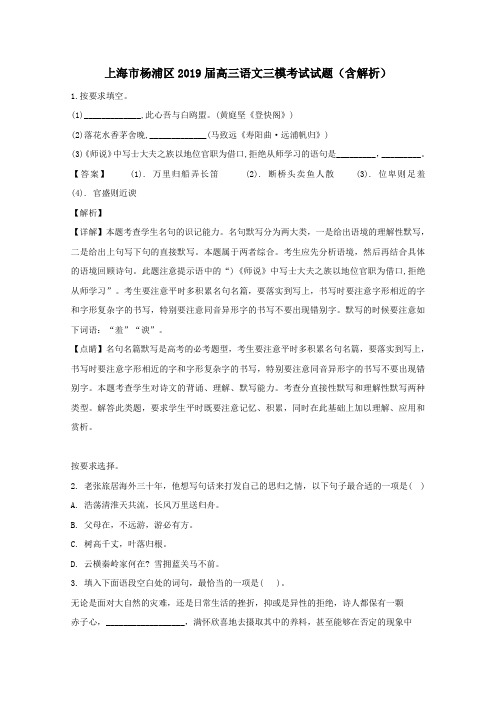 上海市杨浦区2019届高三语文三模考试试题【含解析】