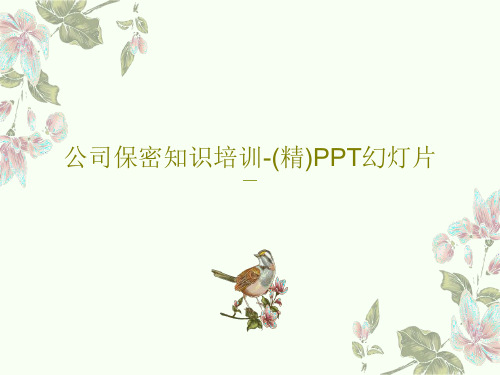 公司保密知识培训-(精)PPT幻灯片PPT共47页