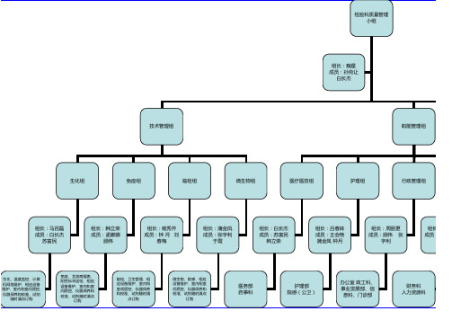 检验科质量管理组织结构图(新)