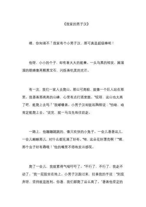 四年级作文我家的男子汉