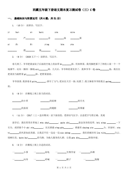 西藏五年级下册语文期末复习测试卷(三)C卷