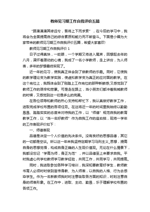 教师见习期工作自我评价五篇