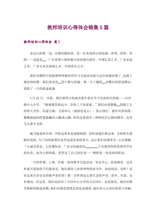 教师培训心得体会锦集5篇_1