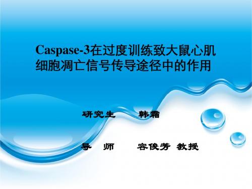 Caspase3在过度训练至大鼠心肌细胞凋亡信号传导途径中的作用