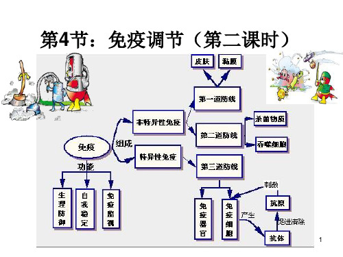 必修3 稳态与环境2.4免疫调节(第二课时)