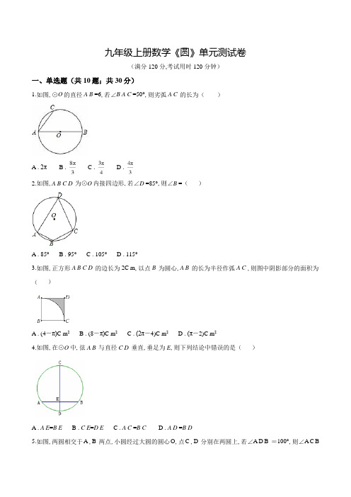 九年级上册数学《圆》单元综合测试(含答案)