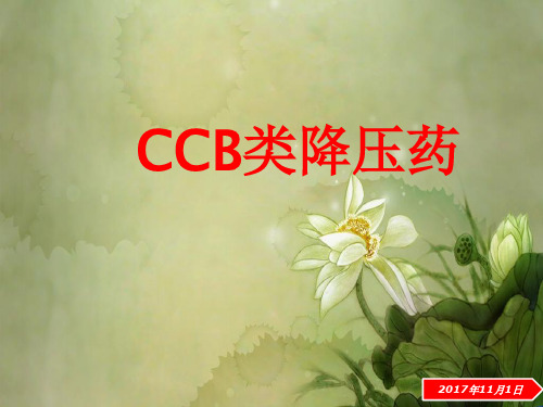 CCB类降压药.ppt