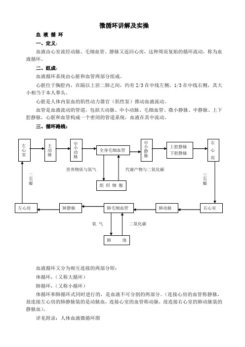 微循环讲解及实操