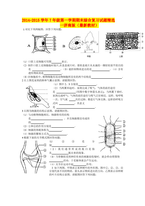 2014-2015学年7年级第一学期期末综合复习试题精选一济南版(最新教材)