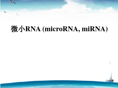 微小RNA (microRNA, miRNA)