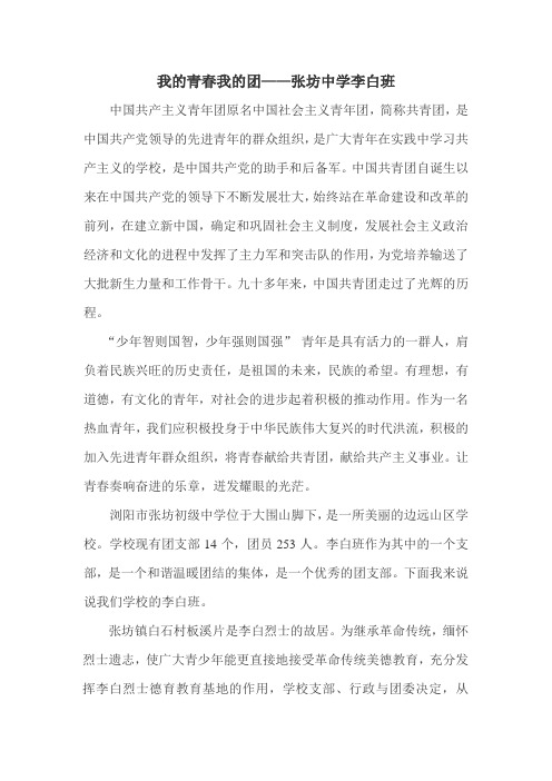 我的青春我的团——张坊中学李白班