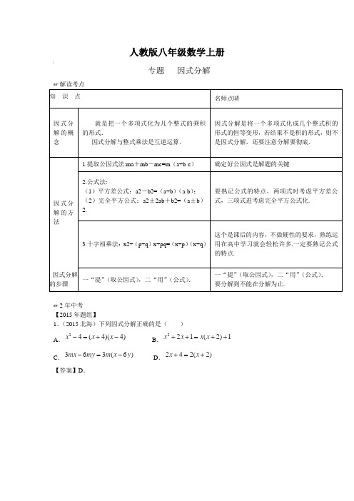 人教版八年级数学上册 专题复习：因式分解(含答案)