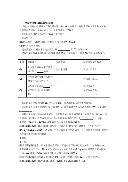 中考化学探究题综合练习题附答案