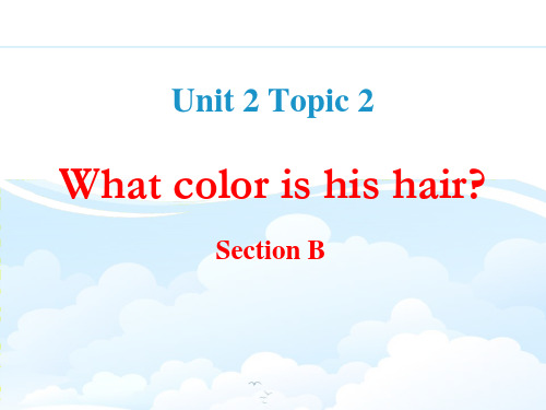 《What color is his hair》SectionB.ppt