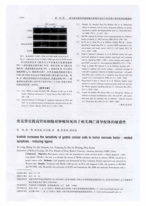 埃克替尼提高胃癌细胞对肿瘤坏死因子相关凋亡诱导配体的敏感性