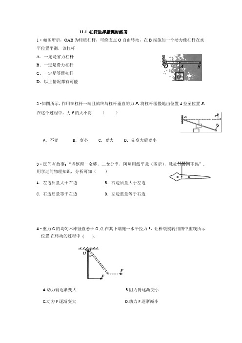 11.1   杠杆选择专题—苏科版九年级上册课时练习