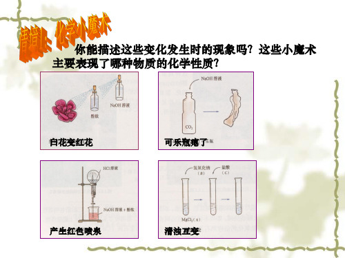 浙教版九年级科学上册：酸碱盐的复习