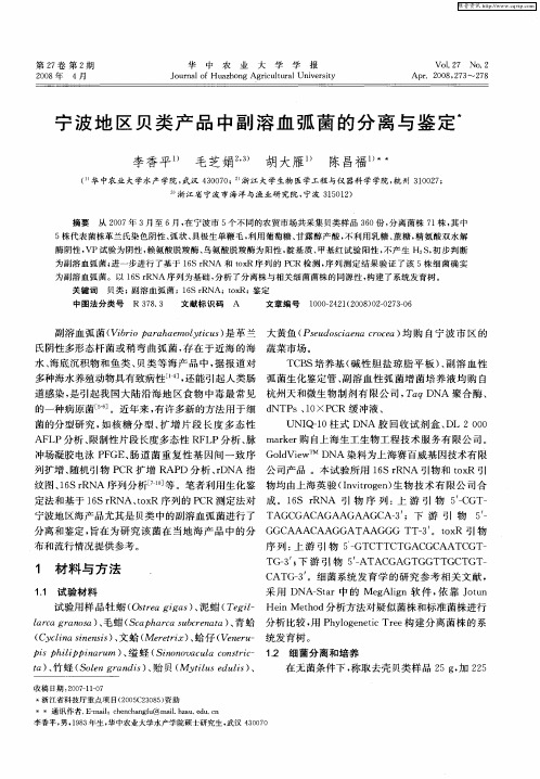 宁波地区贝类产品中副溶血弧菌的分离与鉴定