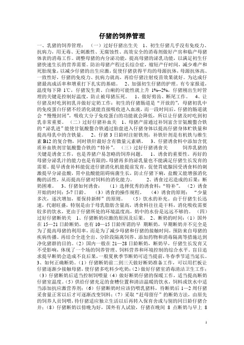 仔猪的饲养管理