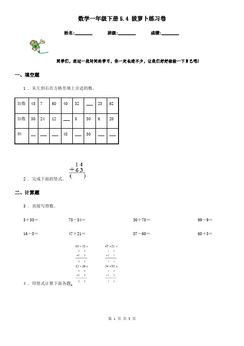 数学一年级下册5.4 拔萝卜练习卷