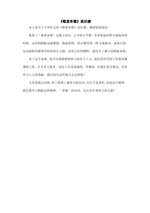 《敬重卑微》读后感_小学作文