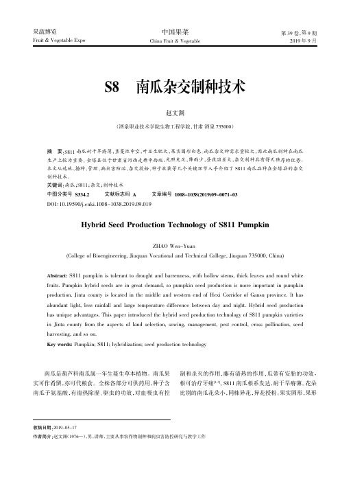 S811南瓜杂交制种技术