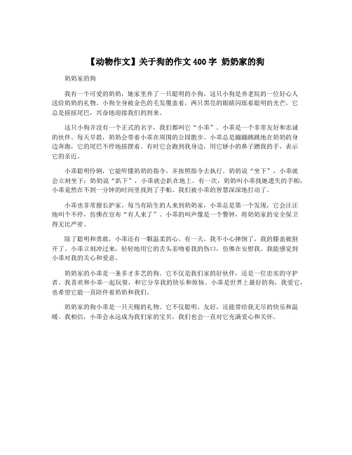 【动物作文】关于狗的作文400字 奶奶家的狗