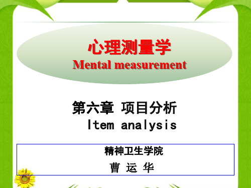 第六章项目分析