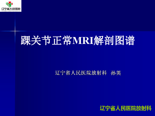 医学影像-踝关节正常MRI解剖图谱