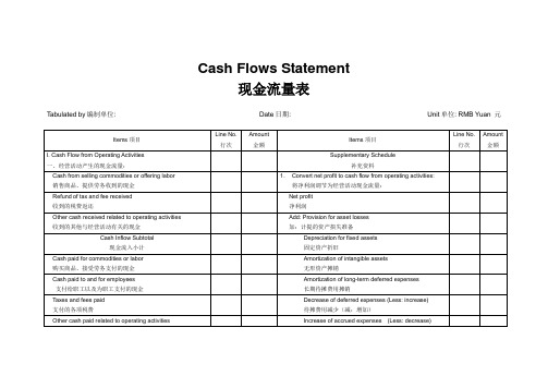 现金流量表_模板(中英对照)