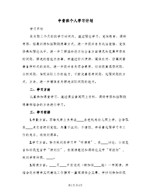 中青班个人学习计划(2篇)