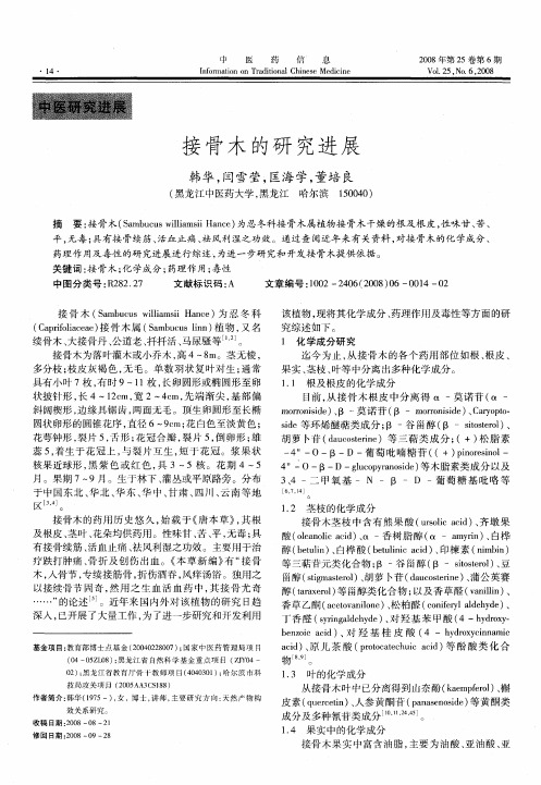 接骨木的研究进展