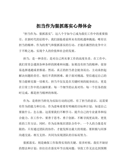 担当作为狠抓落实心得体会