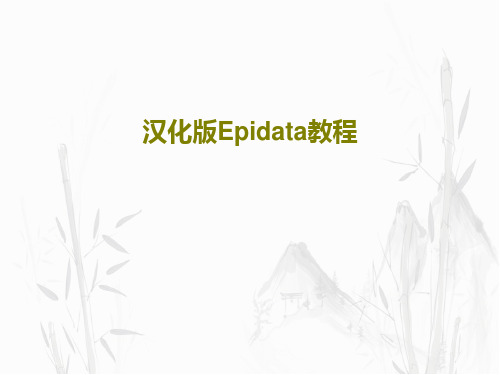 汉化版Epidata教程共68页