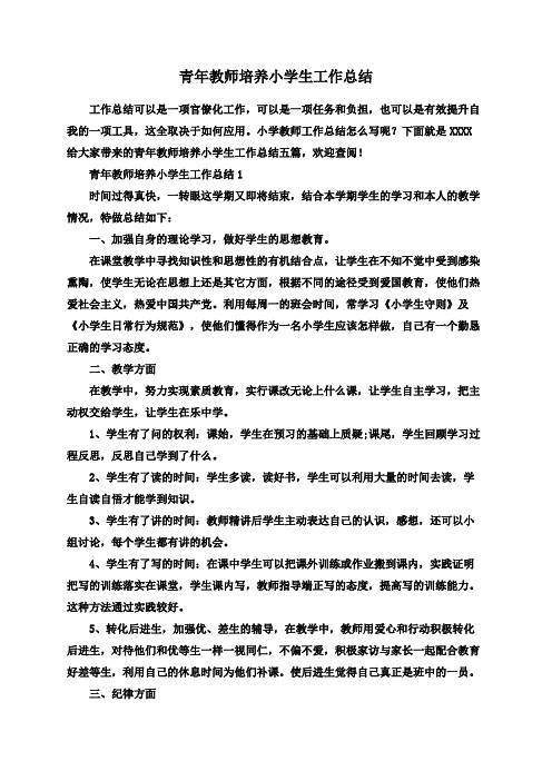 青年教师培养小学生工作总结