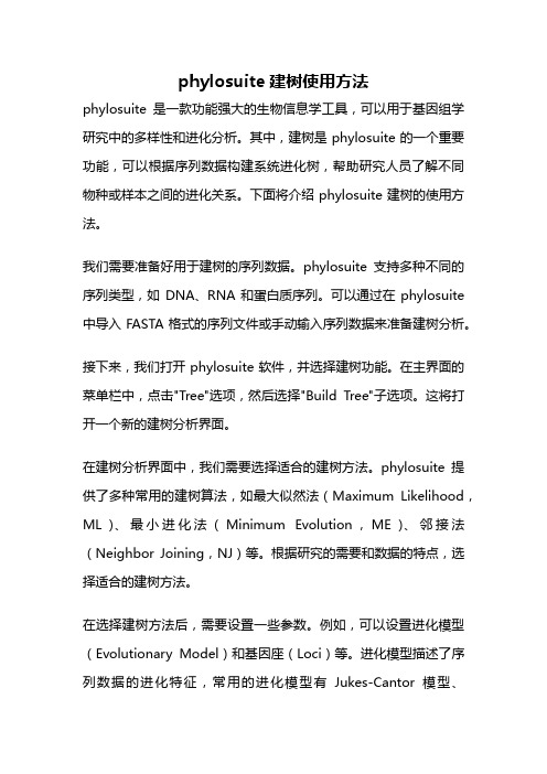 phylosuite建树使用方法