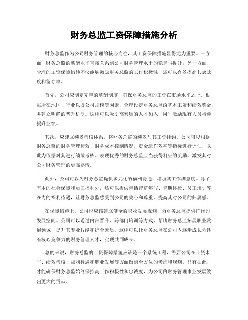 财务总监工资保障措施分析