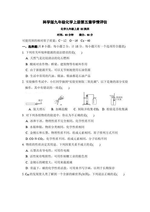 科学版九年级化学上册第五章学情评估  附答案