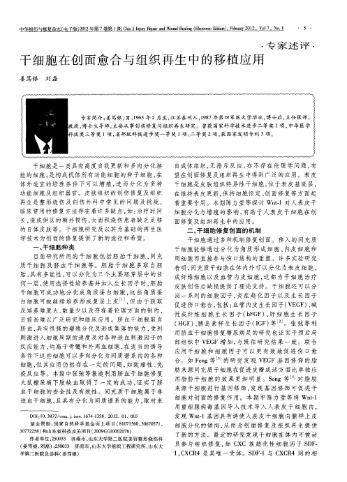 干细胞在创面愈合与组织再生中的移植应用