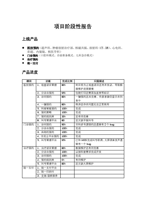 项目阶段性报告