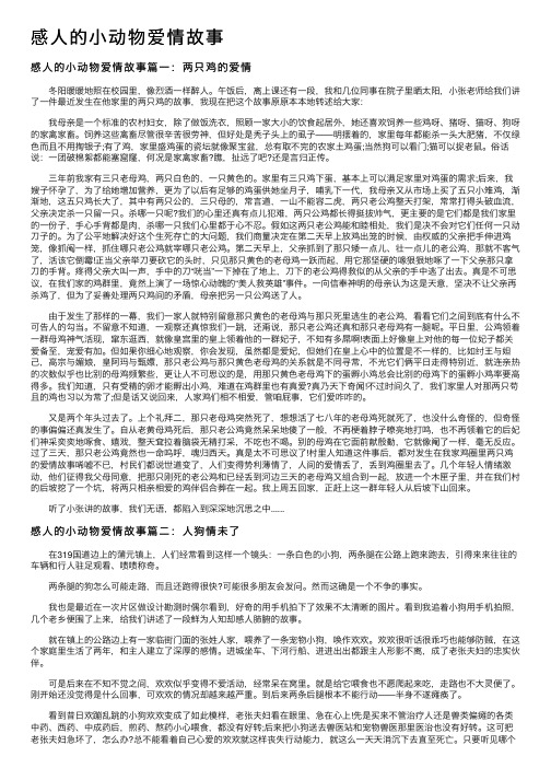 感人的小动物爱情故事