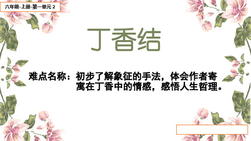 人教部编版六年级语文上册《丁香结》精品课件