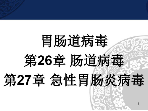 26-27 肠道病毒、急性胃肠炎病毒