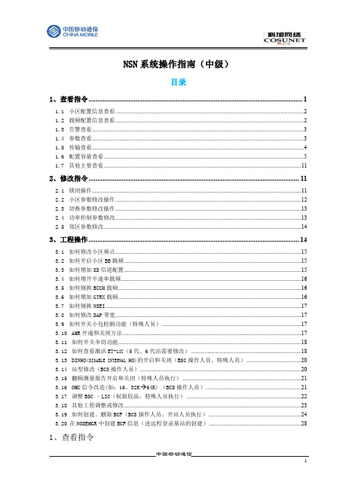 诺西后台操作指南：NSN系统操作指南(中级)