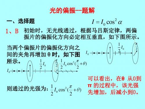 题解3-光的偏振